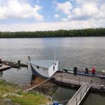Ruderboote in Paks Donau 2022