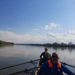 Ruderer auf der Donau 2022