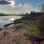 Ankunft Wittenberg Elbe 2022