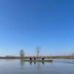 Ruderboot Elbe Marathon bei Sonne 2022