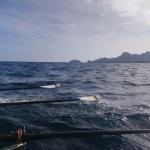 Ile de Jarre draussen im Mittelmeer 2022