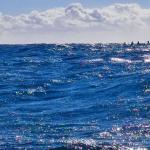 Inrigger in grossen Wellen Mittelmeer 2022