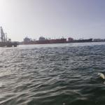 Port de Buc mit dem Ruderboot 2022