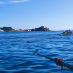 Ruderboot auf dem Mittelmeer 2022