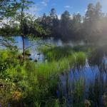 Einsame Bucht Inari 2022