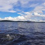 Ruderboote auf dem Inari See 2022