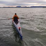 Baumgarten Coastle Single auf dem Myvatn Island 2022