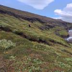 Hafrahvammagljufur im Canyon  Island 2022