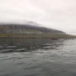 Island Nordfjord Neskaupstadur Inrigger Ruderboote 2022