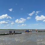 Ruderer auf dem Oste Riff 2022