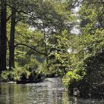 Ruderboot auf Spreewaldfliess 2022