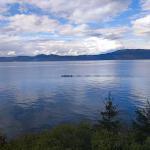 Ruderboot auf dem Genfer See 2022