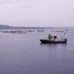 Tour du Lac Lemand Aviron 2022 Start