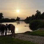 Abendidyll Nehringen Pferde an der Tränke 2022