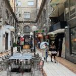 Belgrad Downtown Donau 2023