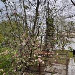 Camping st mokranjac Donau 2023