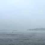Ruderboot im Schneesturm Donau 2023