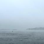 Ruderboot im Schneesturm Donau 2023