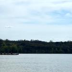 Ruderboot vor Waldküste Donau 2023