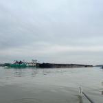 Ruderboote mit Frachter Donau 2023