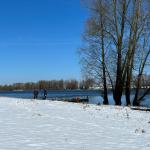 Ruderboot Pause im Schnee Elbe 2023