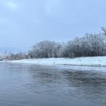 Ruderboote auf der Elbe Torgau 2023