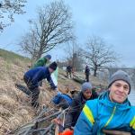 Ruderboote in Kolin Elbe 2023