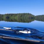 Juojärvi Landschaft mit Skulls 2023