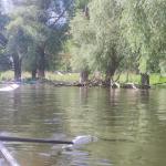 Havel vor Havelberg Ruderboot 2023