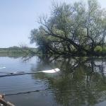 Mögeliner Havel 2023