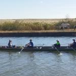 Camarguepferde und Ruderboot 2023