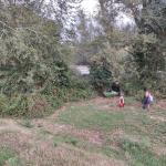 Einzige Anlegestelle Petit Rhone 2023