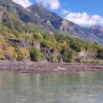 Treibholz am Lac Serre Poncon 2023