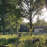 Ferienhaus am Asnen 2023