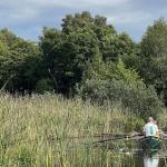 Ruderboote im Schilf Asnen