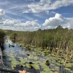 Wasserweg auf dem Asnen 2023