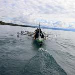 Baumgarten Marathon Genfer See 2023