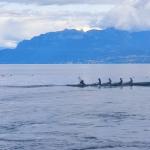 Baumgarten Marathon Vierer Tour du Lac Leman 2023