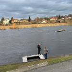 Ruderboote am Ziel in Pirna 2024