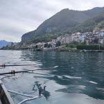 Genfer See Französisches Ufer 2024