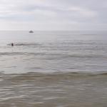 Badestrand Dzwinow 2024 Badestrand Dzwinow 2024