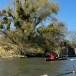 Ruderboote auf der oberen Oder 2024