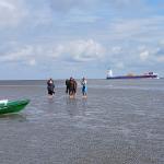 Oste Riff 2024 grosse Schiffe