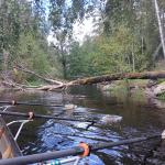 Kanal blockiert Foxen 2024