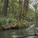 Ruderboote im Spreewald 2024