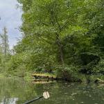 Spreewaldfliess 2024