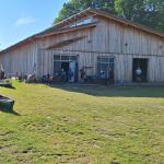 Templiner Ruderverein Ruderboote 2024