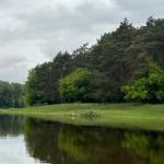 Auwälder an der Warthe 2024