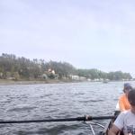 Ruderboot auf der Donau