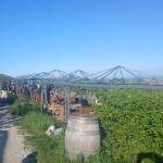 Heurigen unterhalb des Kahlenbergs in Wien